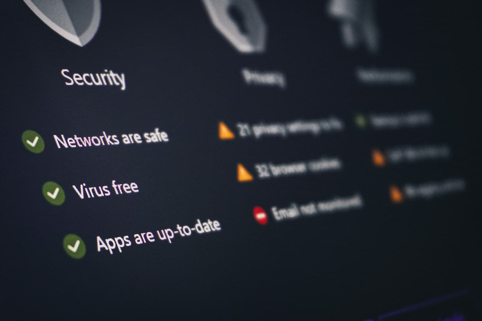 Security and privacy dashboard interface displaying protection status