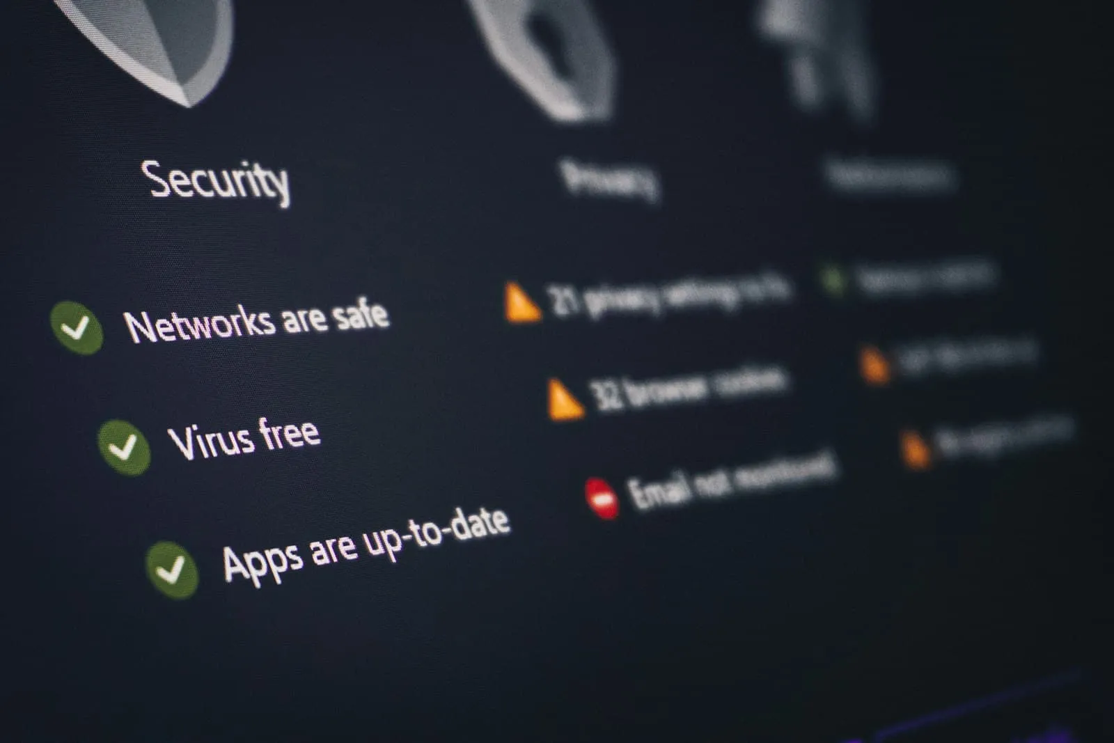 Security and privacy dashboard interface displaying protection status